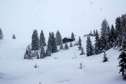 Alberi (12), Alta Val Badia (146), Sci Alpino (290)